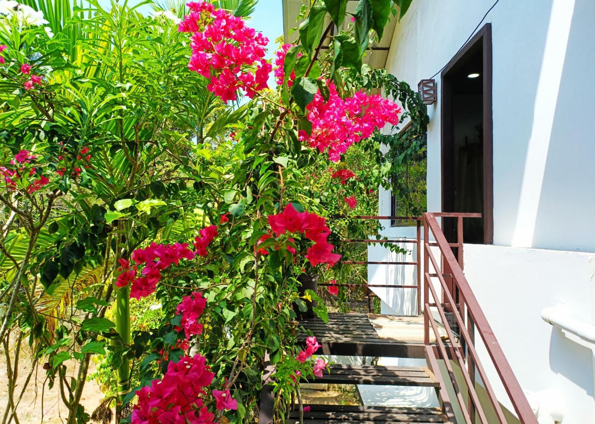 Alma Homestay Mararikulam Exterior foto